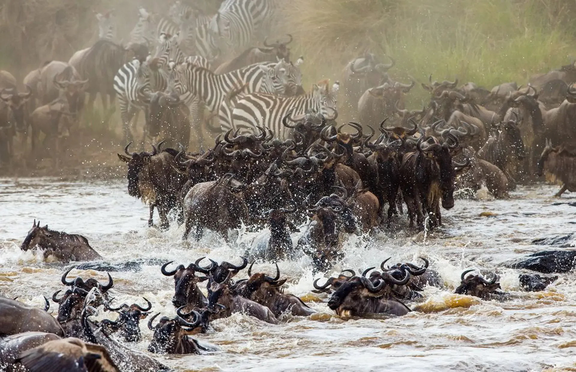 7 Days The Great Serengeti Migration Safari