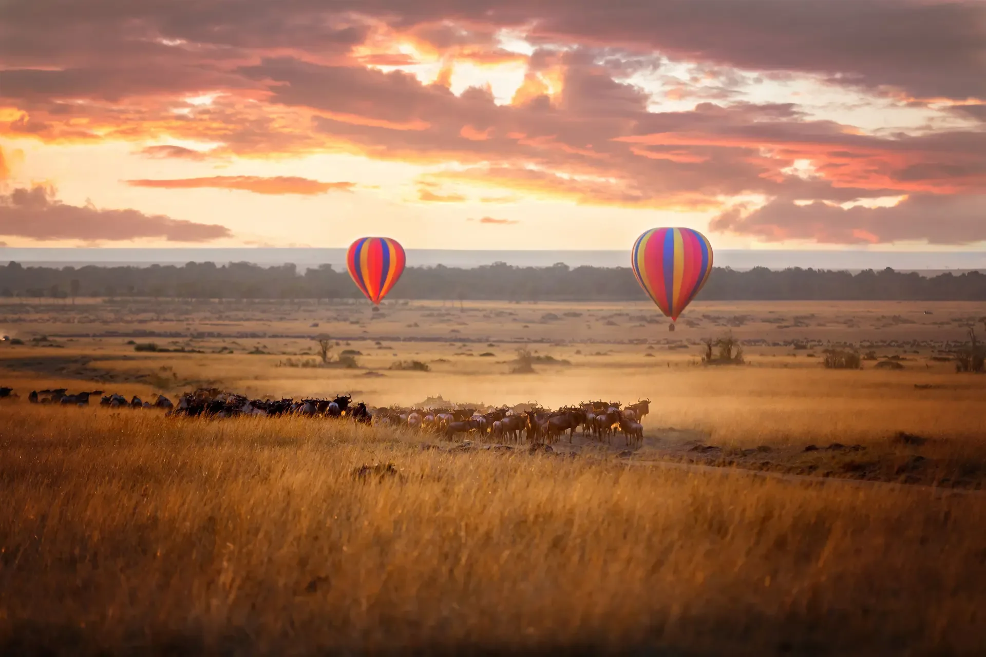 Two hot air balloons drift over a wildebeest herd at sunrise in Serengeti National Park, Tanzania.