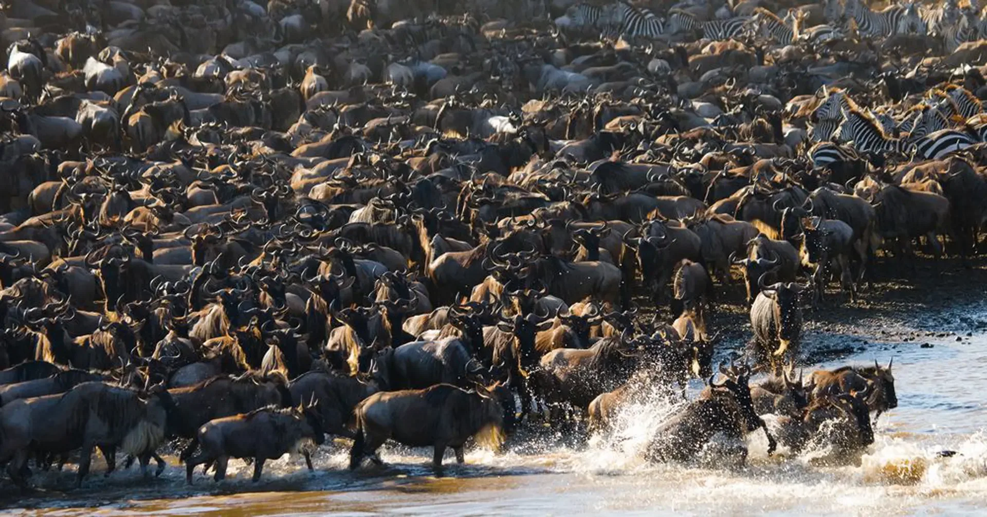 5 Days Serengeti Great Migration Safari
