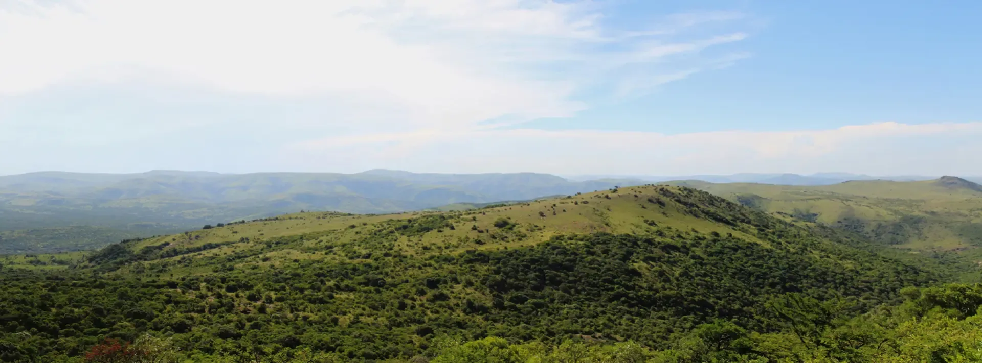 Green hills and open bushveld stretch to the horizon in South Africa.