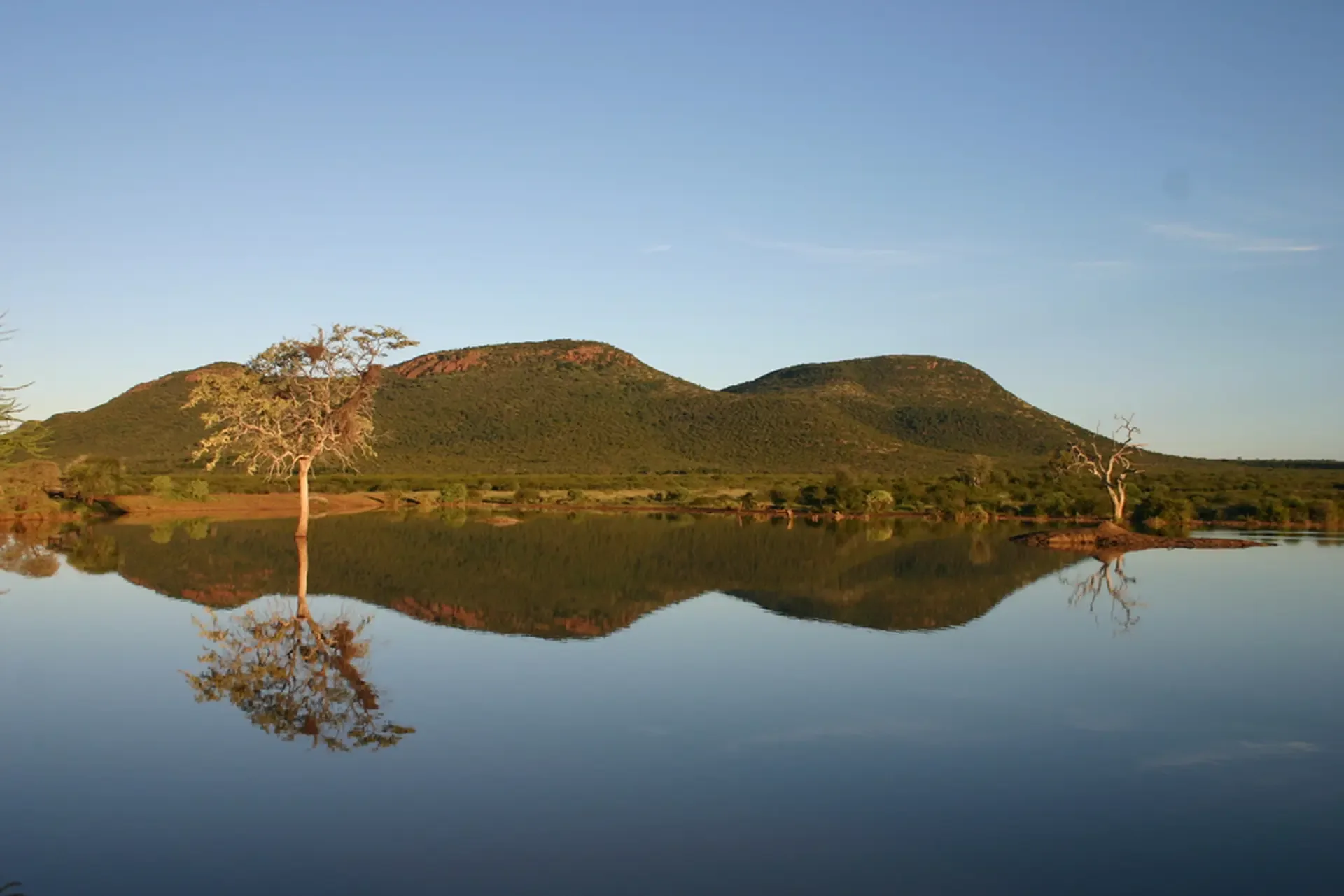Still water mirrors the hills and trees of South Africa at golden hour.