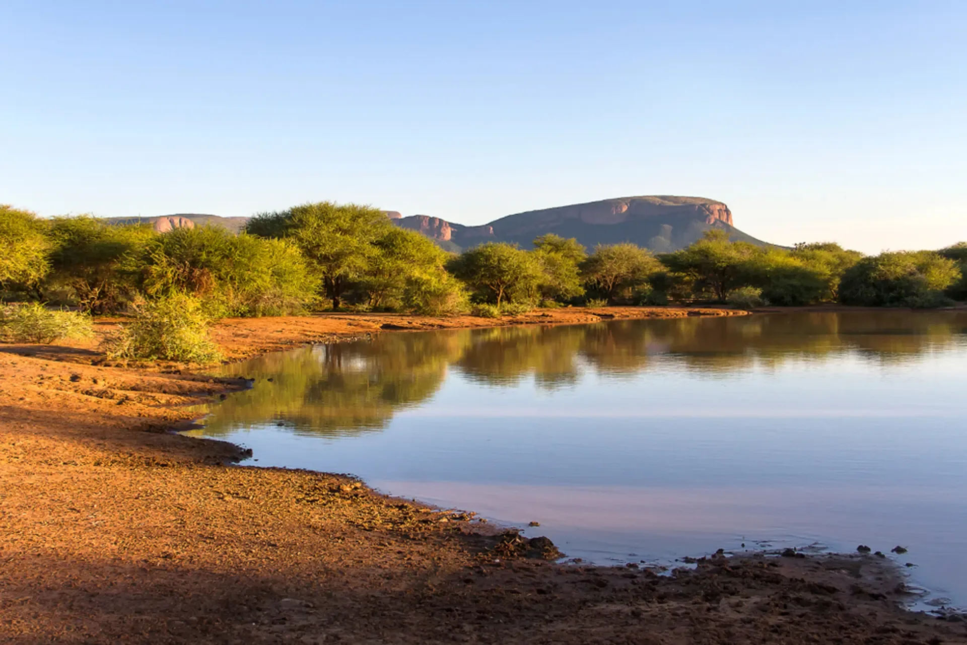 Still water and green bushveld in the warm light of a South African afternoon.