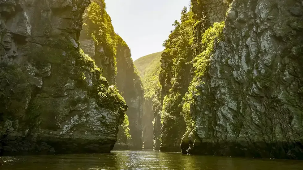 Sunlit gorge on the Storms River in Tsitsikamma National Park, South Africa.