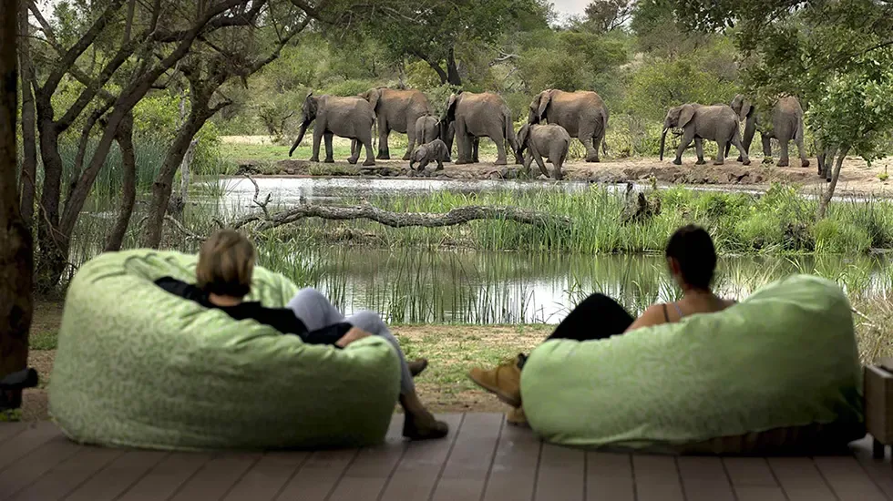 Watching a herd of elephants cross the water at Timbavati Game Reserve, South Africa.