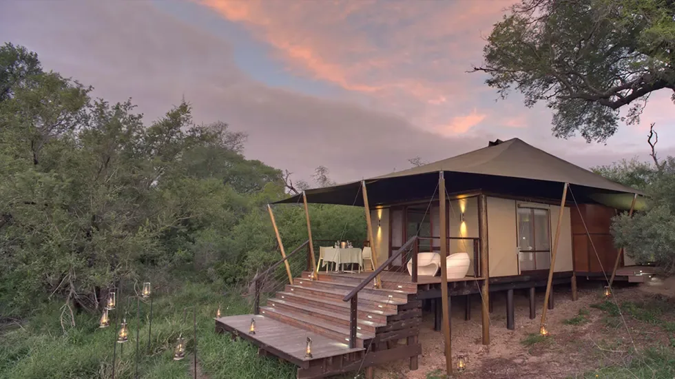 Lantern-lit tented suite at dusk in Timbavati Game Reserve, South Africa.