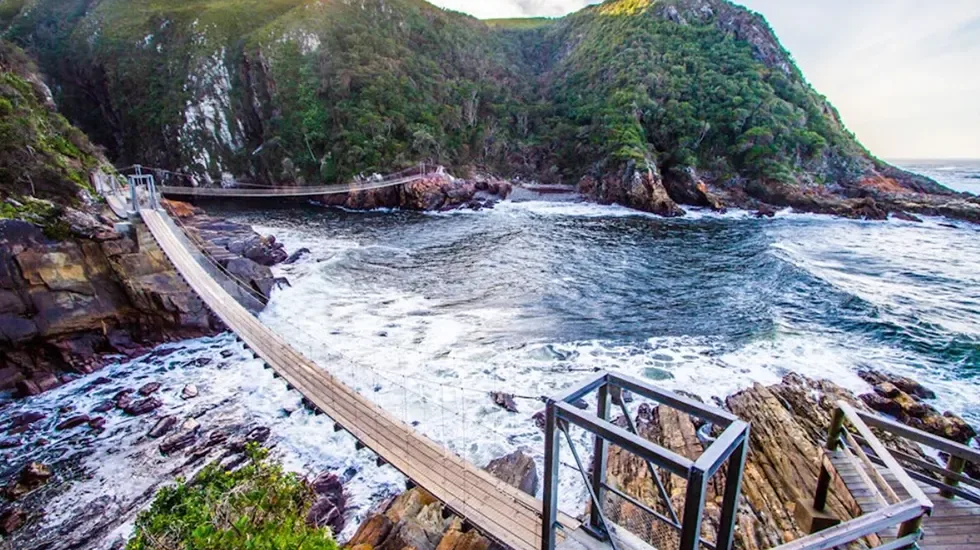 Boardwalk bridges over the churning Indian Ocean at Tsitsikamma, on the way to Addo National Park.