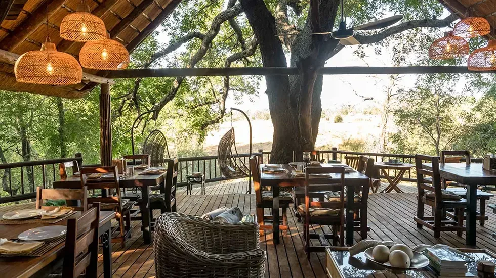 Dining deck at Umkumbe Safari Lodge, set beneath a broad tree in the Sabi Sands.