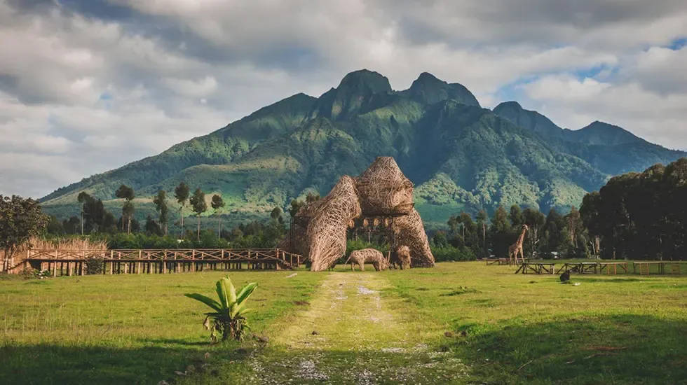 Woven gorilla sculptures on the green lawn below the Virunga peaks in Volcanoes National Park, Rwanda.