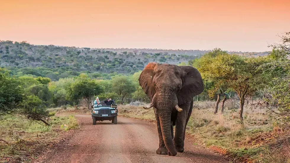 7 Day Kruger National Park and Zululand Safari