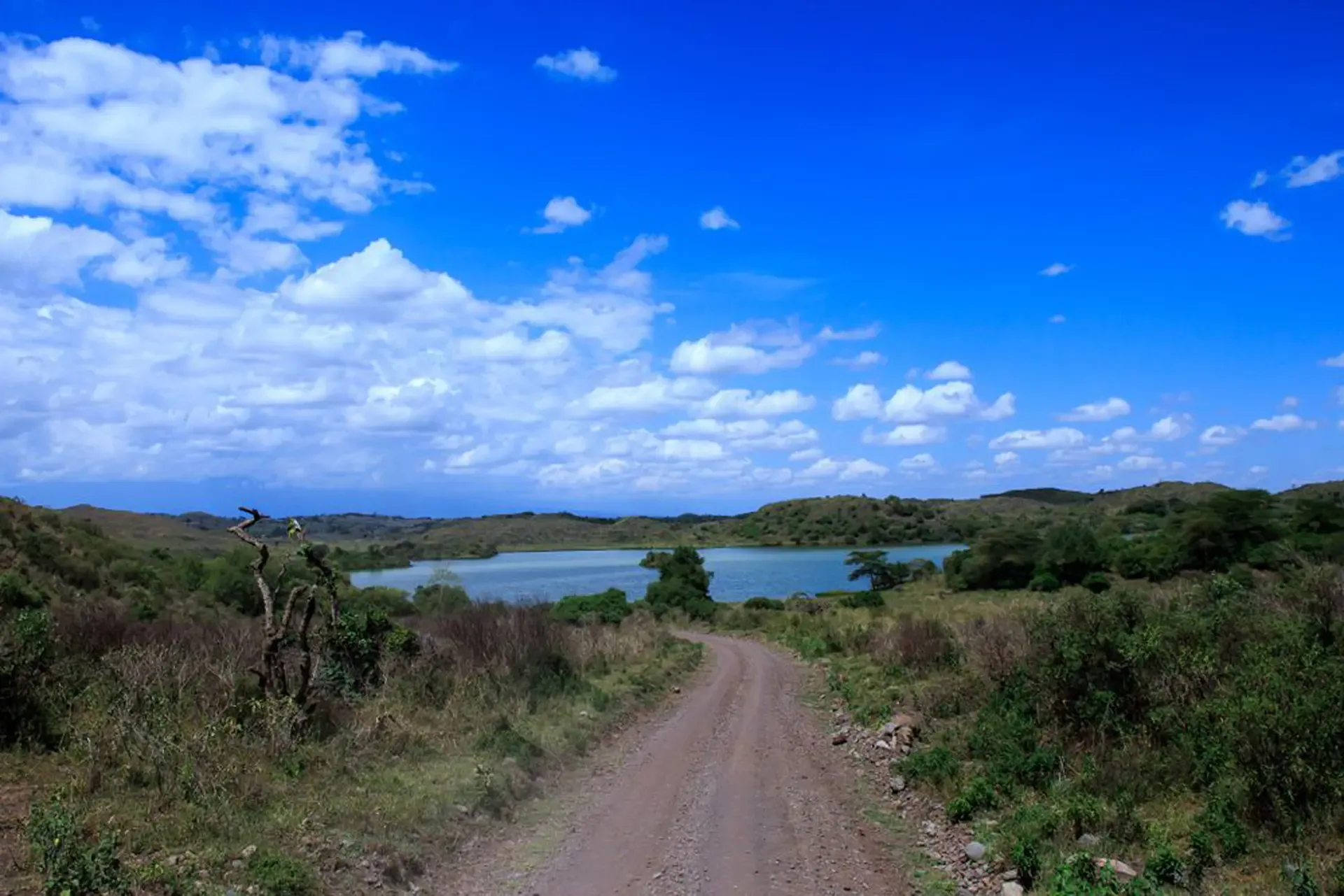 A dirt track winds through Arusha National Park towards a quiet lake beneath open skies.