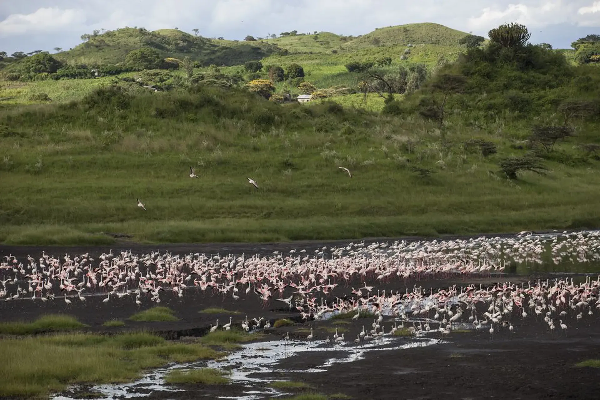 Arusha National Park