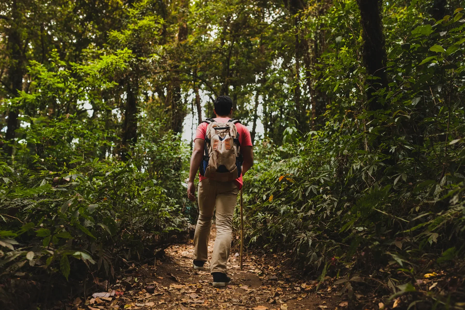A hiker with a backpack and walking stick on a forest trail in Uganda.