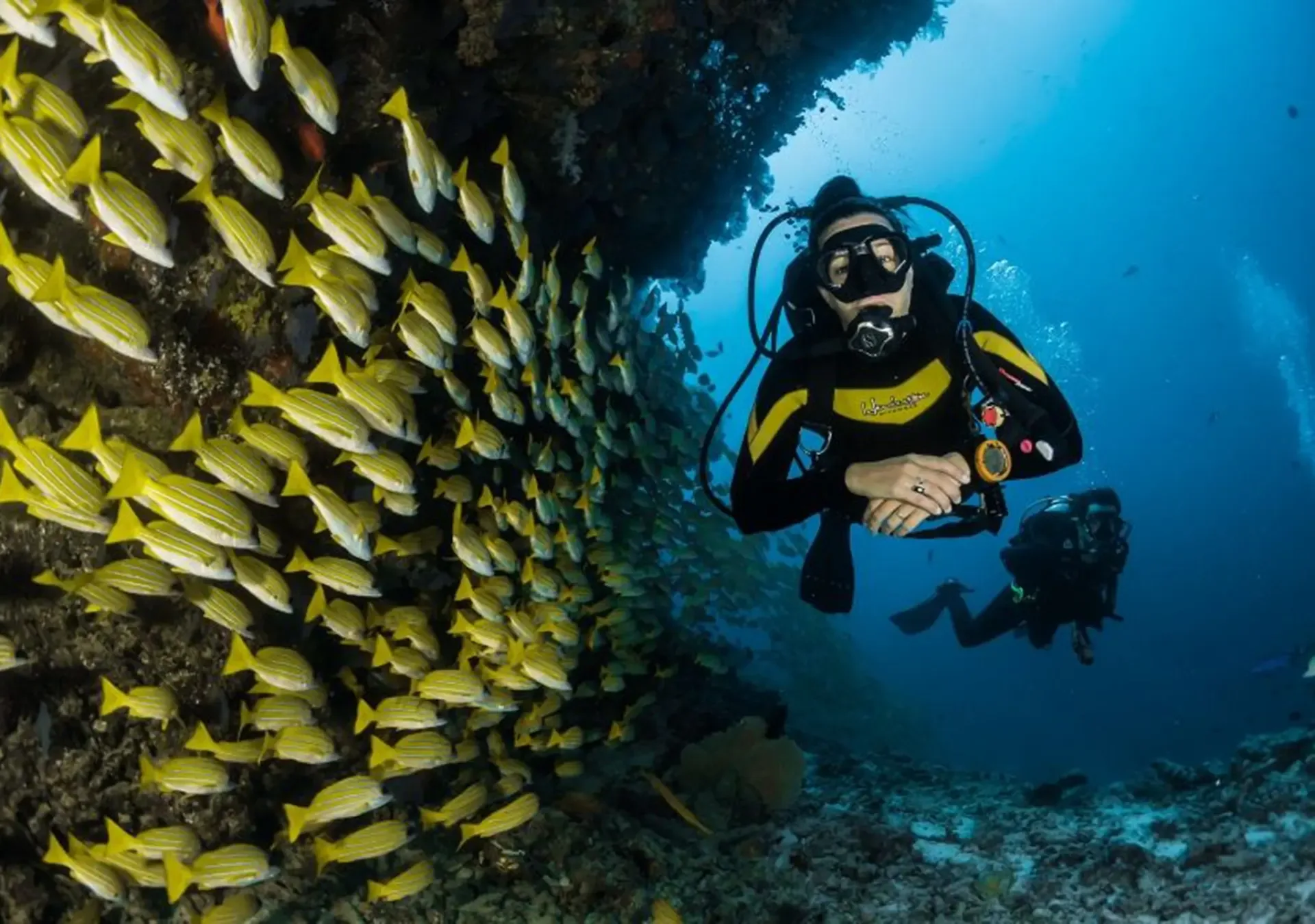 Guide to Diving in Zanzibar: Where to Go