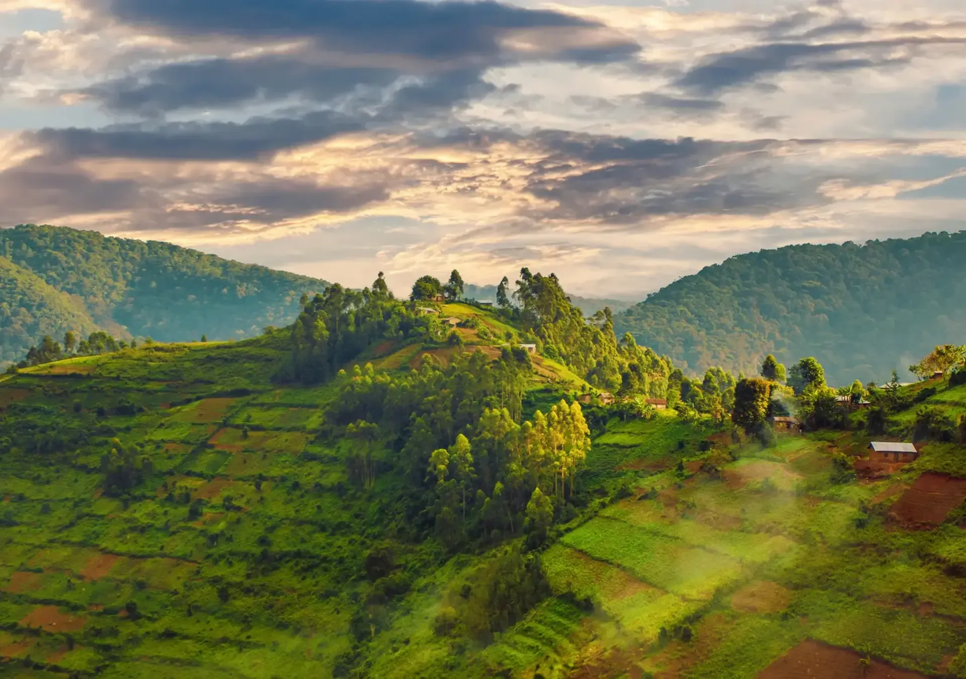 Rolling green hills and farmland near Entebbe, Uganda, under a soft evening sky.