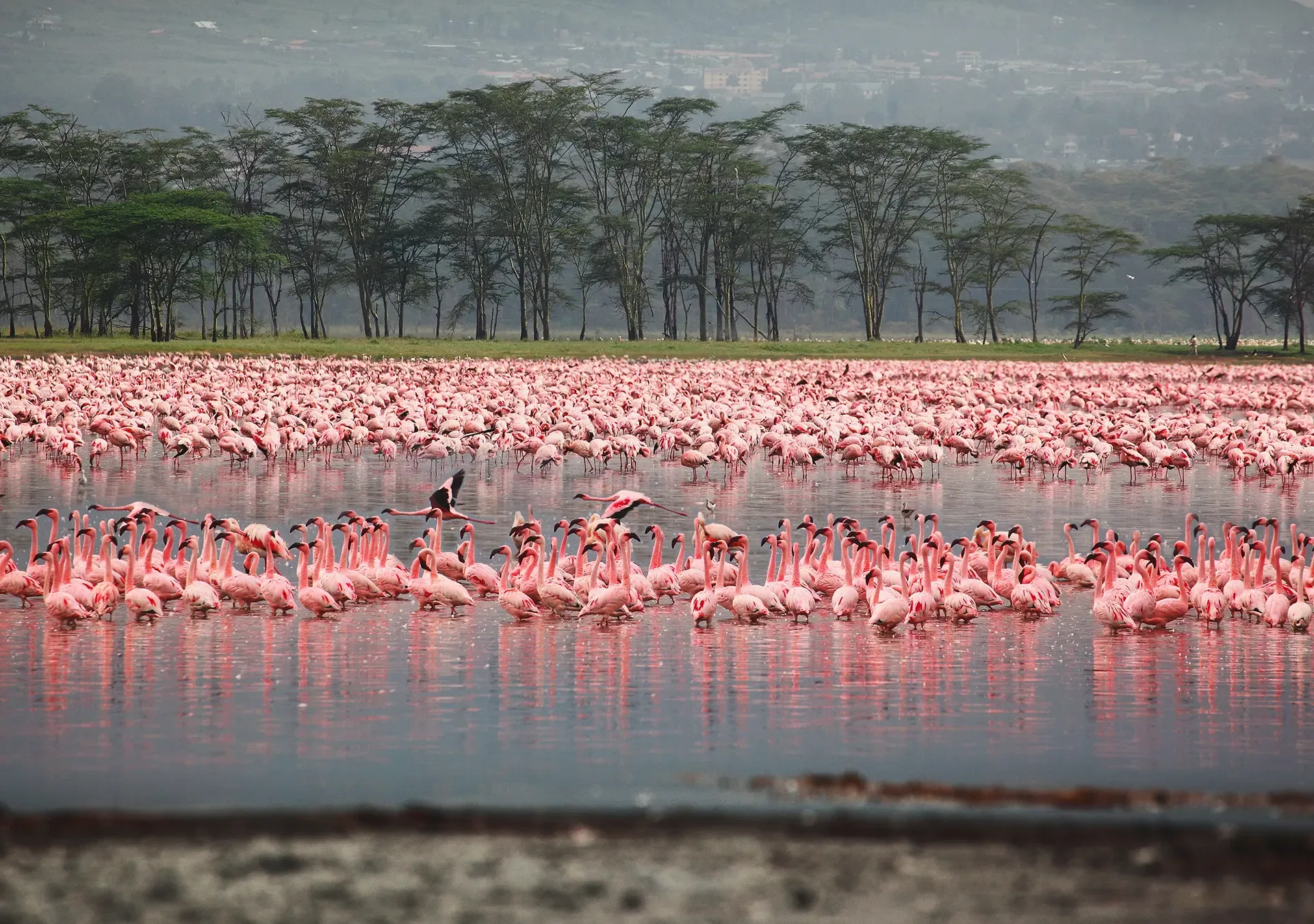 7 Unforgettable Experiences for a First-Timer in Kenya