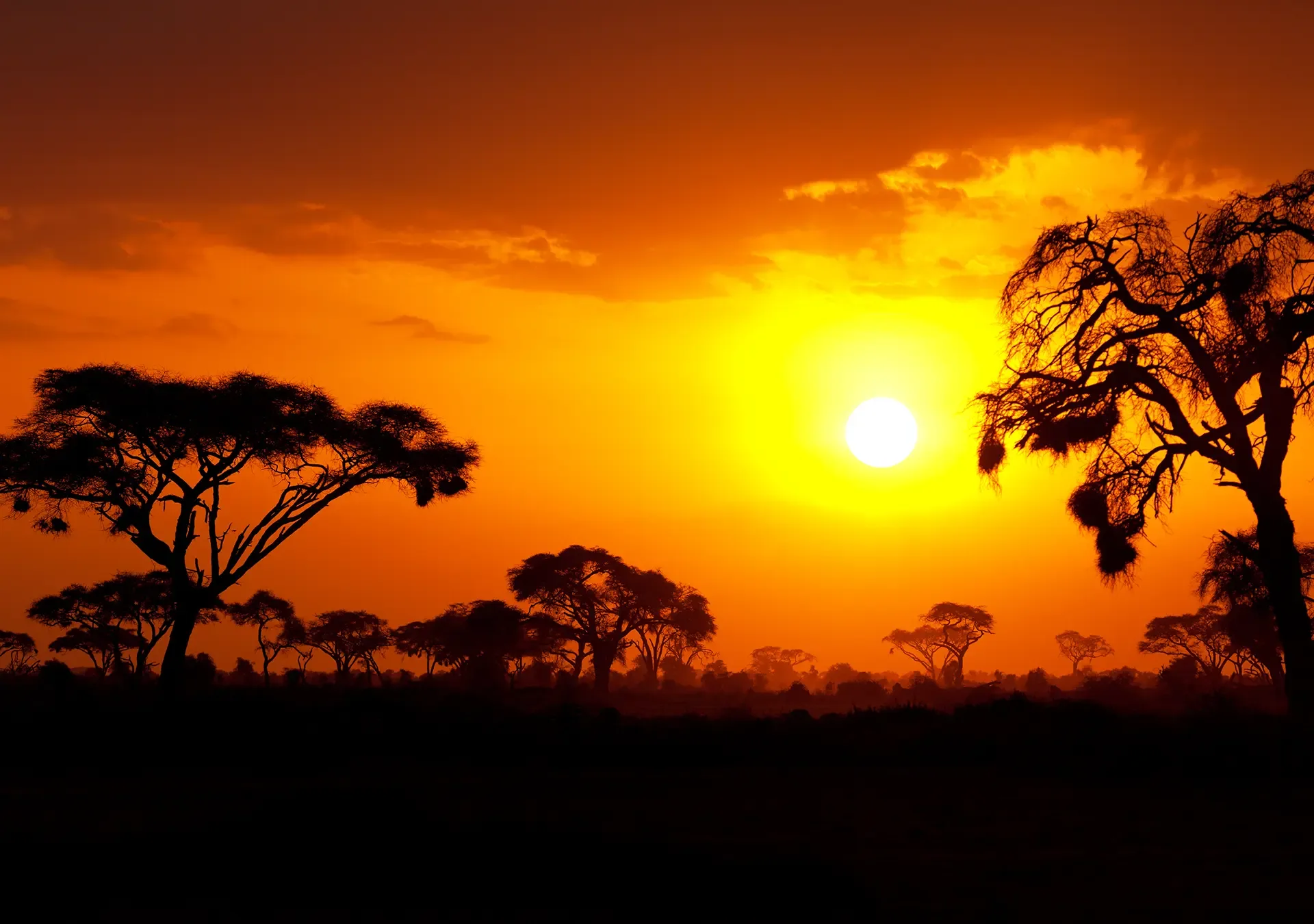 4 Incredible Things That Make Up the Masai Mara Experience