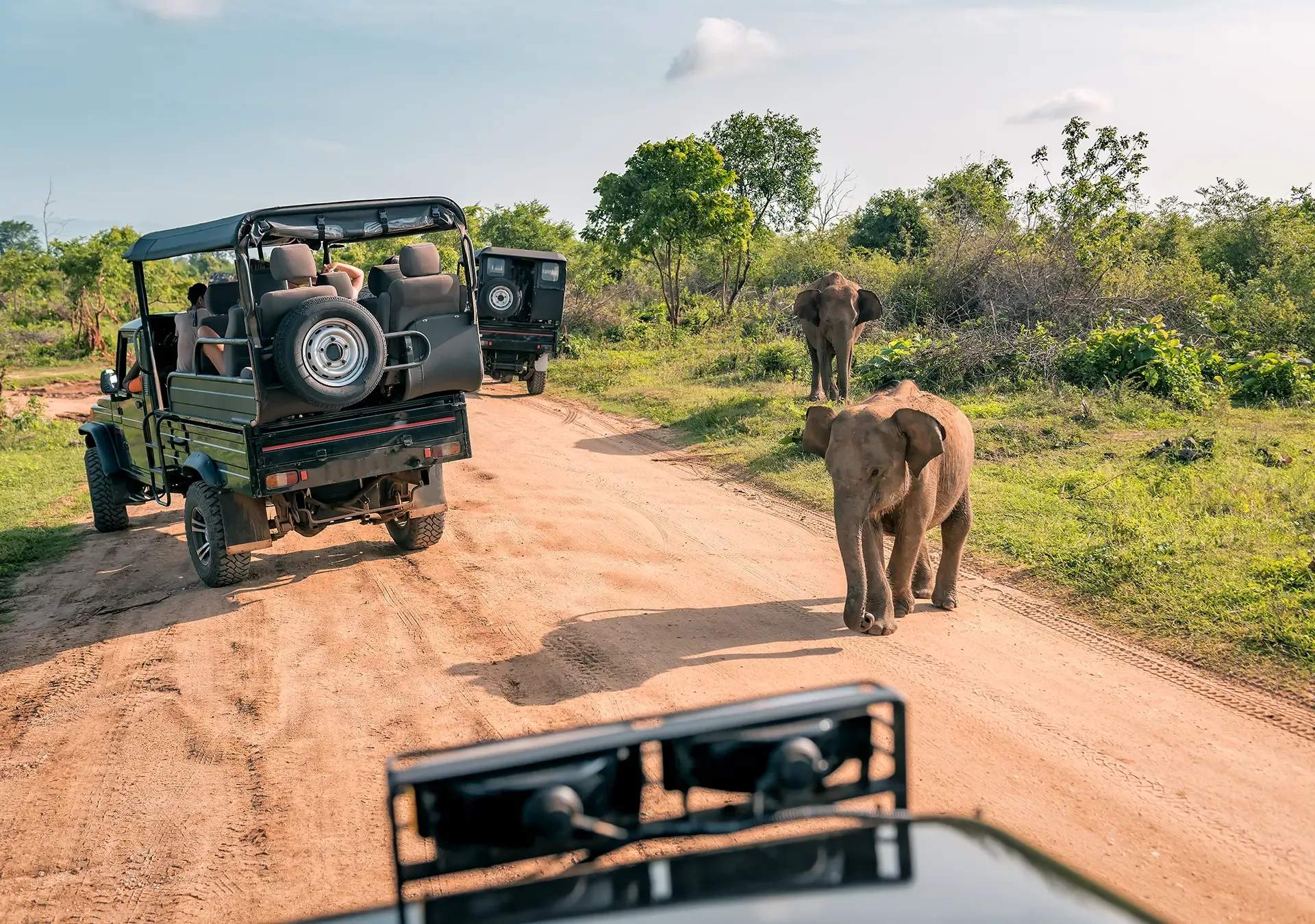 Tipping Guide in Africa