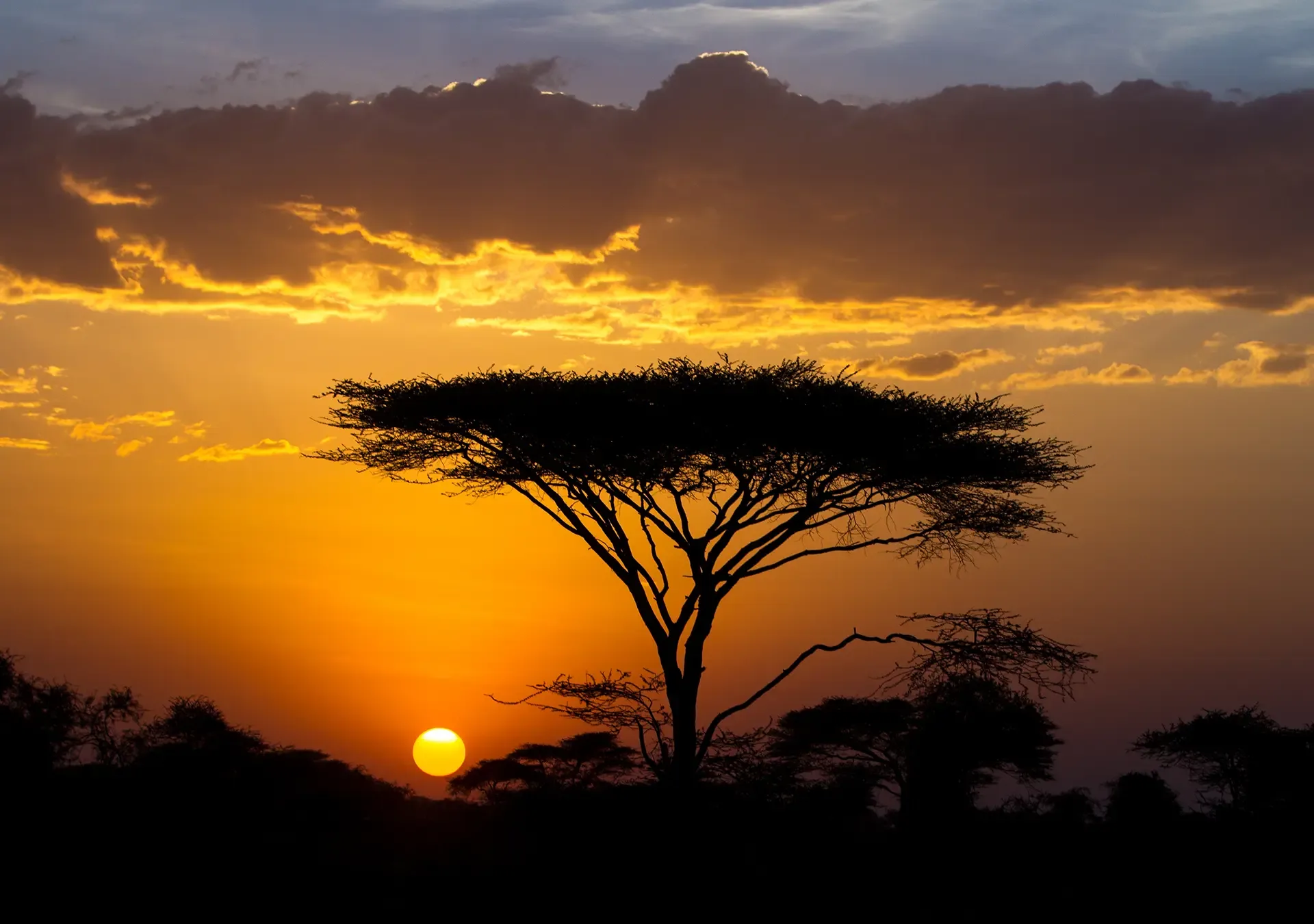 Tanzania: Serengeti Voted Best African Safari Park 2018