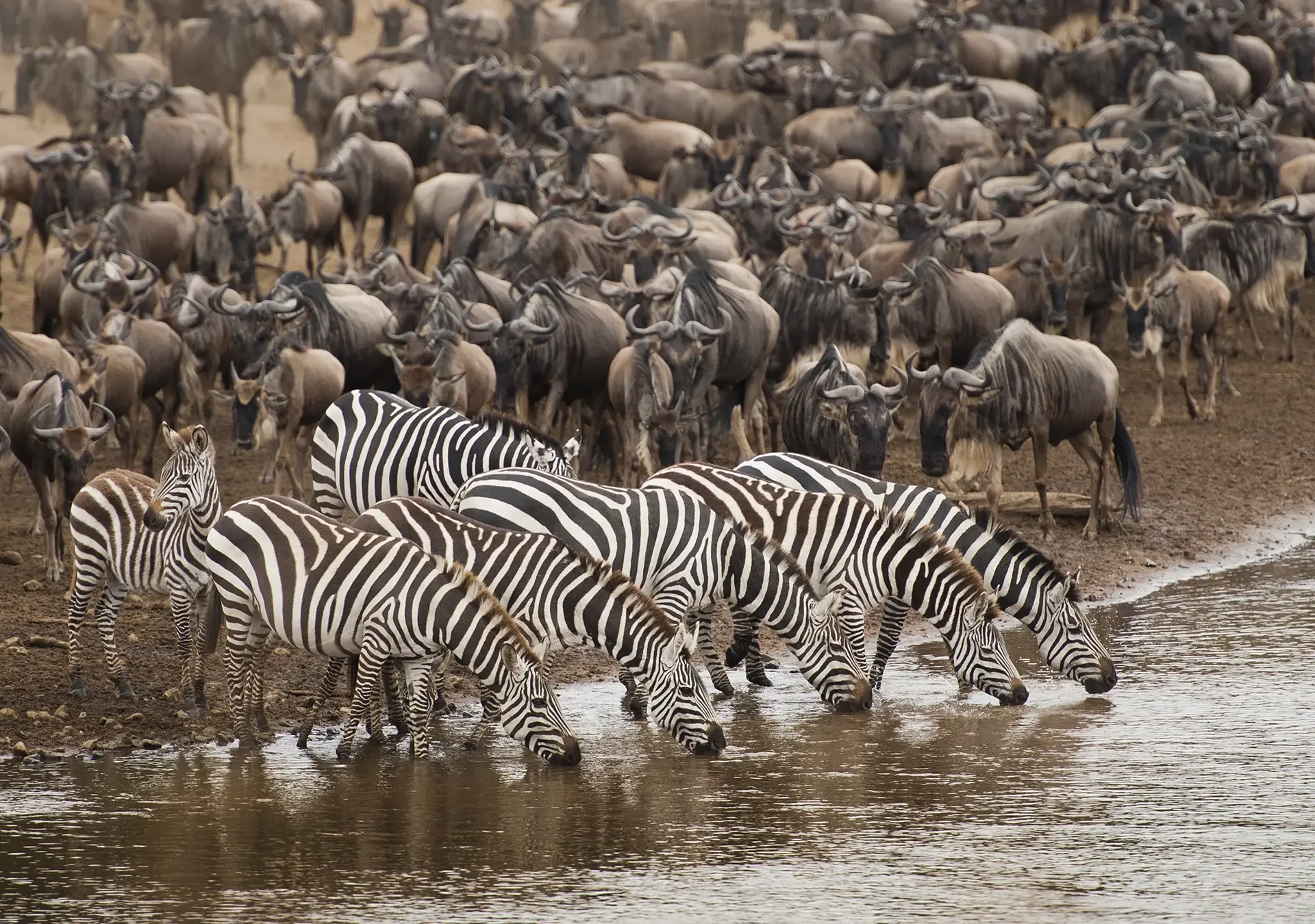 Top Safaris from Arusha Tanzania