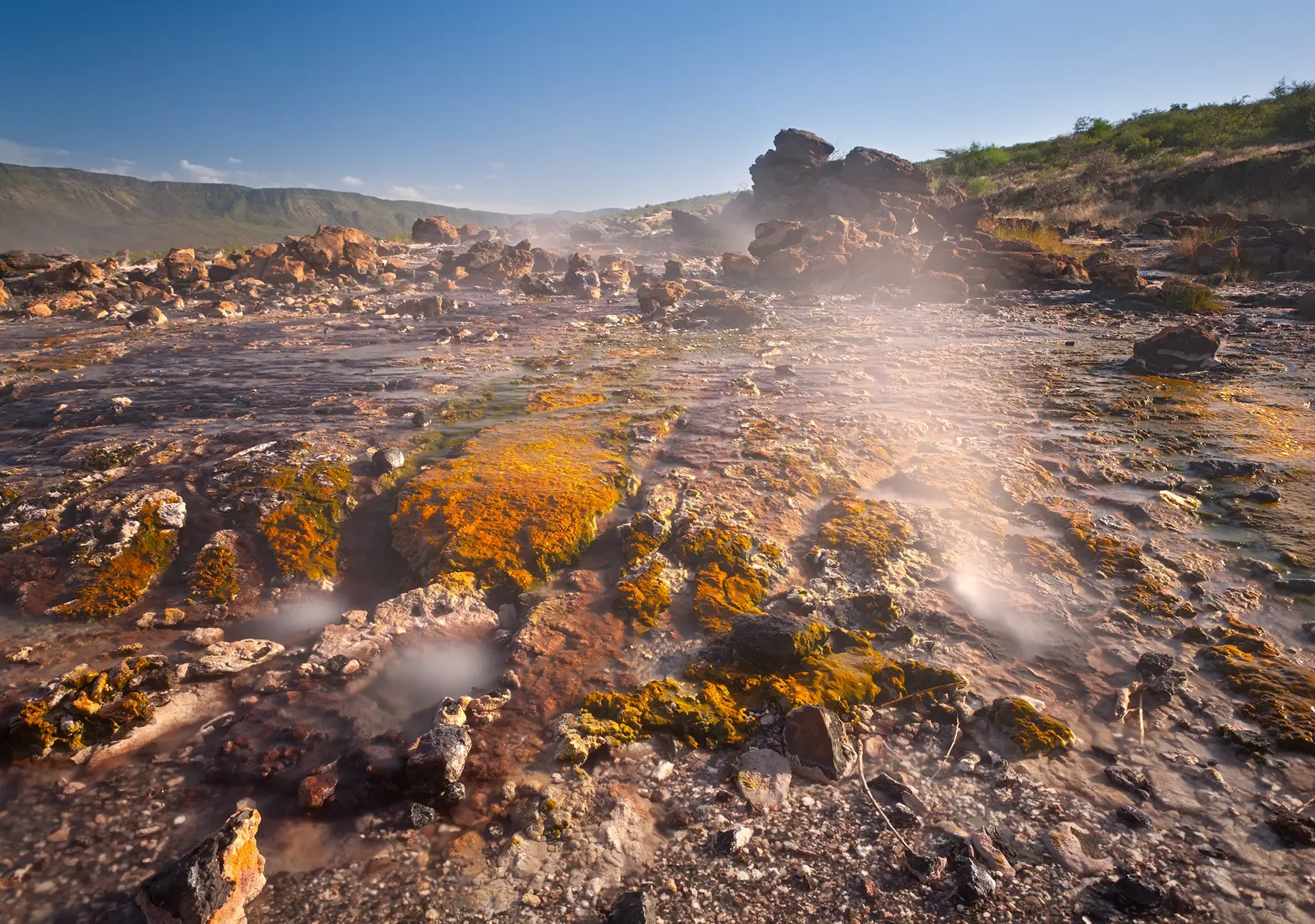 Lake Bogoria