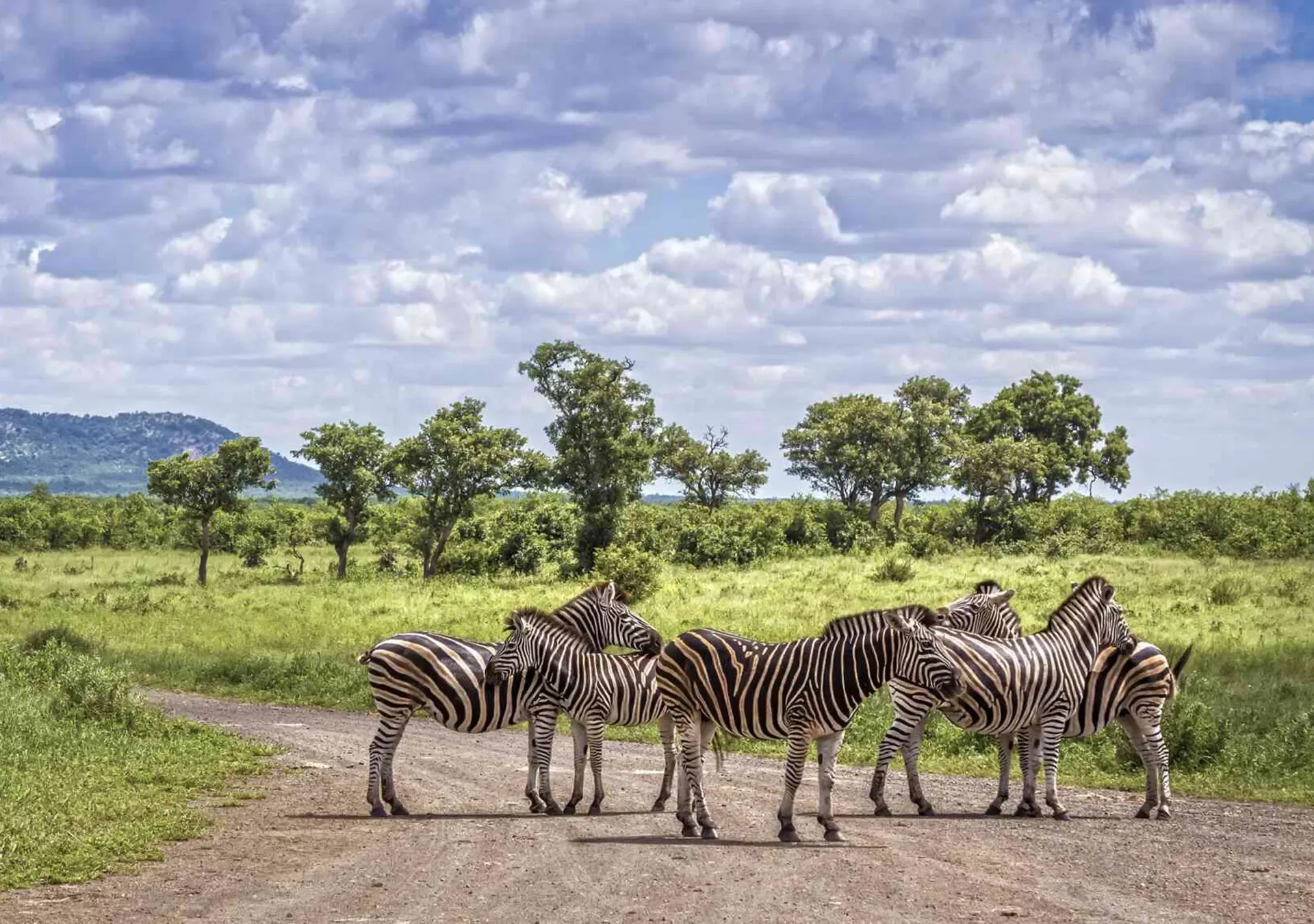Greater Kruger