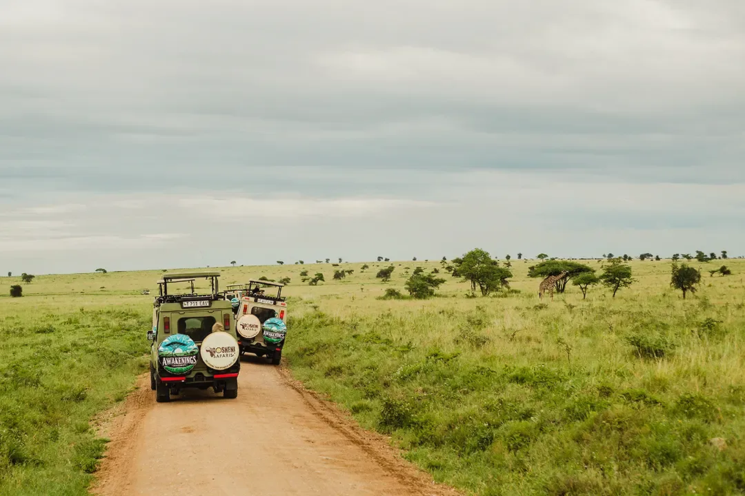 10 Reasons to Book a Low-Season Safari in Tanzania (That Most Travelers Miss)