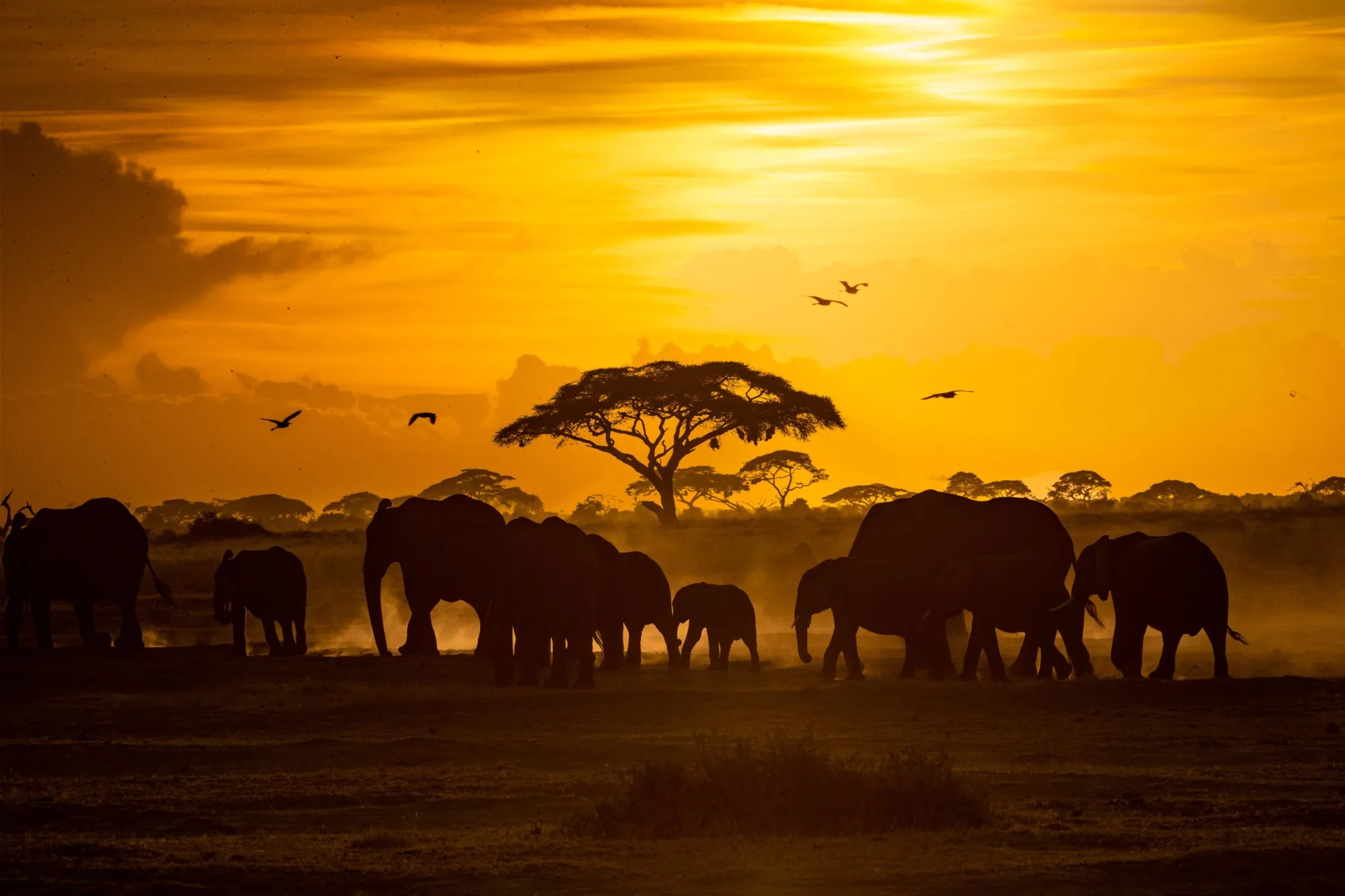 Tanzania Travel Guide for Chinese Visitors