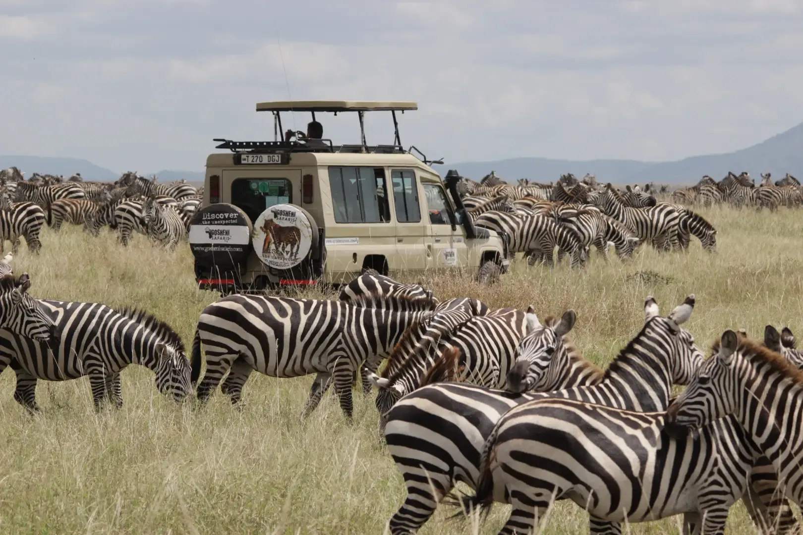 Gosheni safaris common mistakes on an african safari