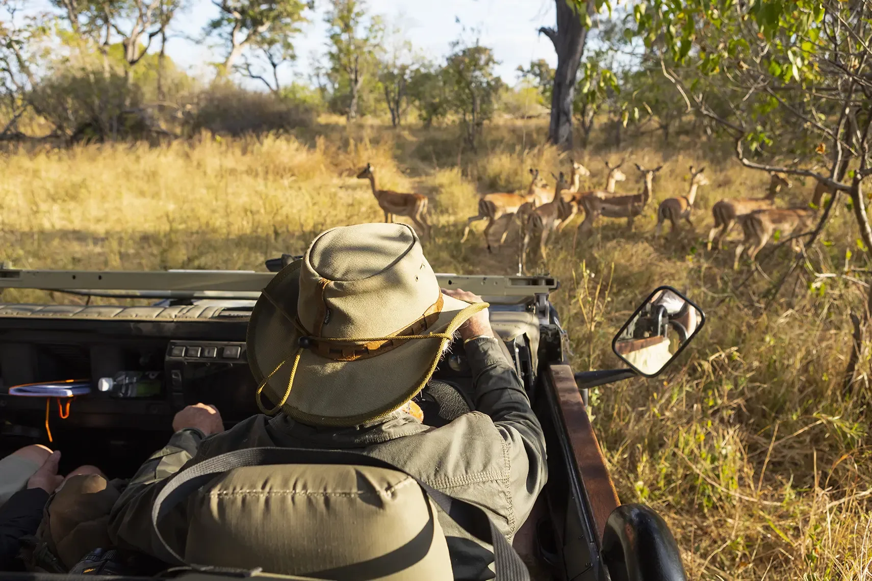 Tanzania Safari Costs - 10 Myths About Serengeti Safaris - The Truth You Need to Know Before You Go