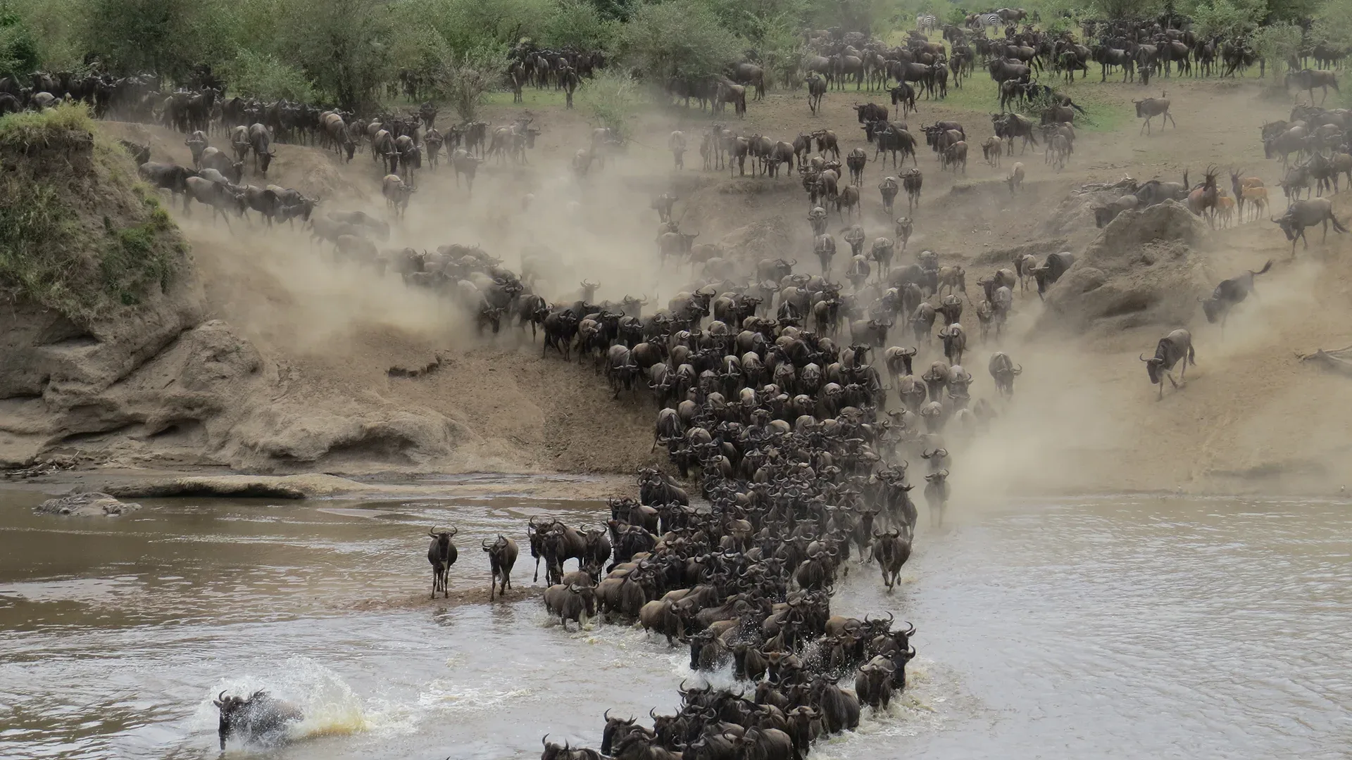 The Migration Season Explained: A Guide to Tanzania and Neighboring Countries