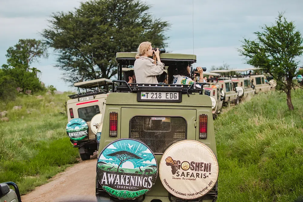 Tanzania Luxury Tours: The Team Behind Gosheni Safaris
