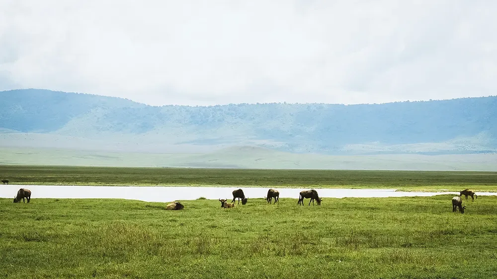 What’s New in Ngorongoro: Conservation, Luxury Upgrades, and Exclusive Safari Experiences