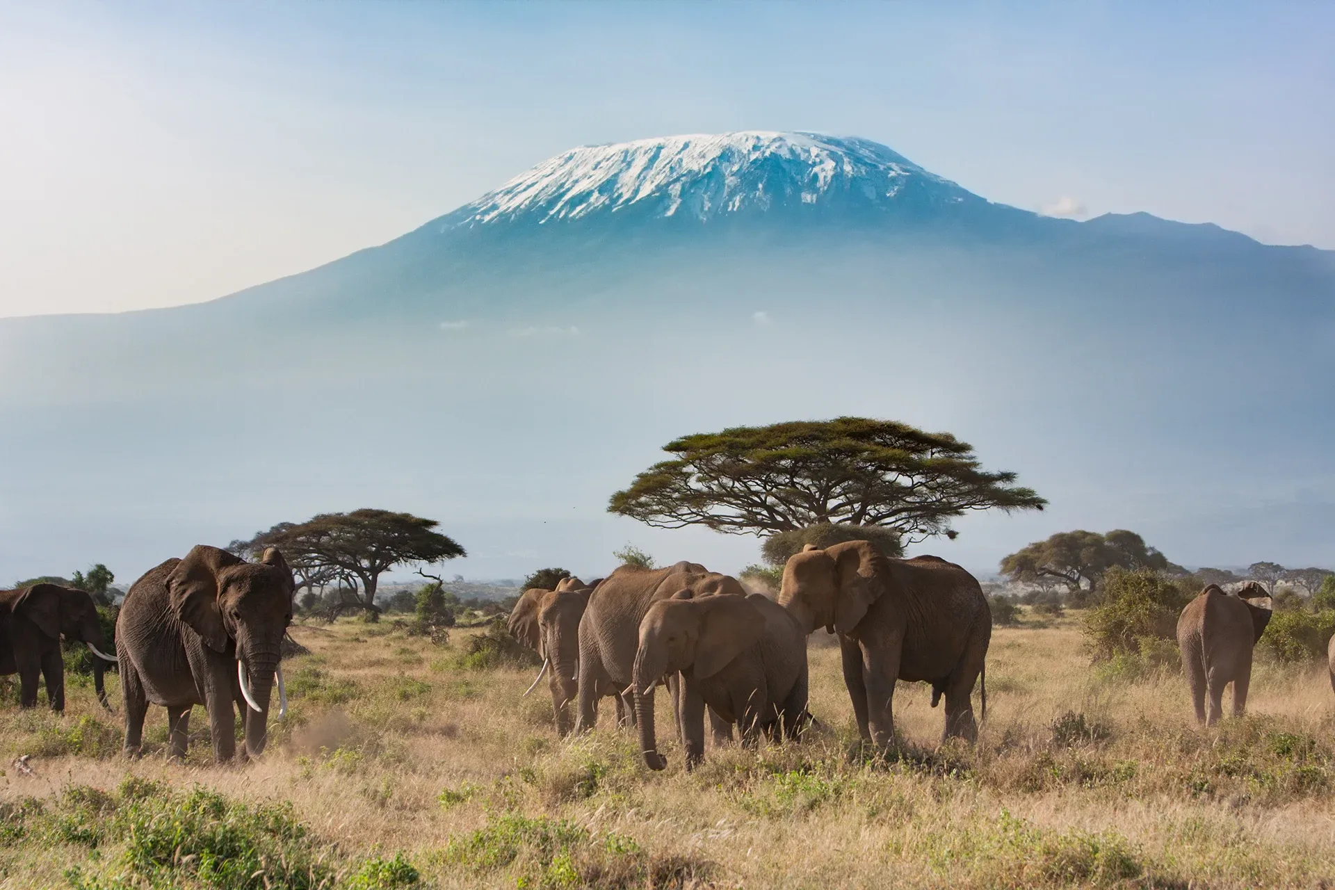 Climbing Kilimanjaro in 2025: What You Need to Know